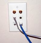 network plug